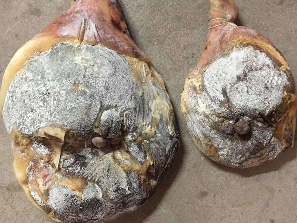 Jambons secs affinés Le-raygal-charcuterie en cave artisanale dans le Tarn